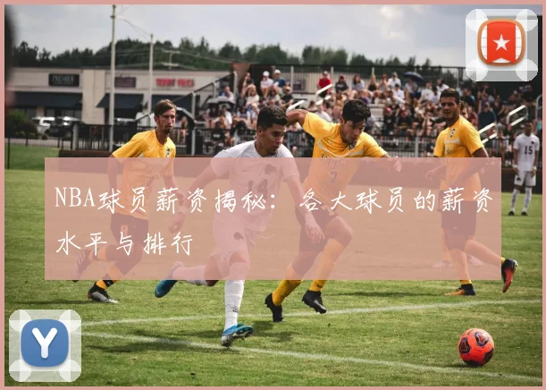 NBA球员薪资揭秘：各大球员的薪资水平与排行